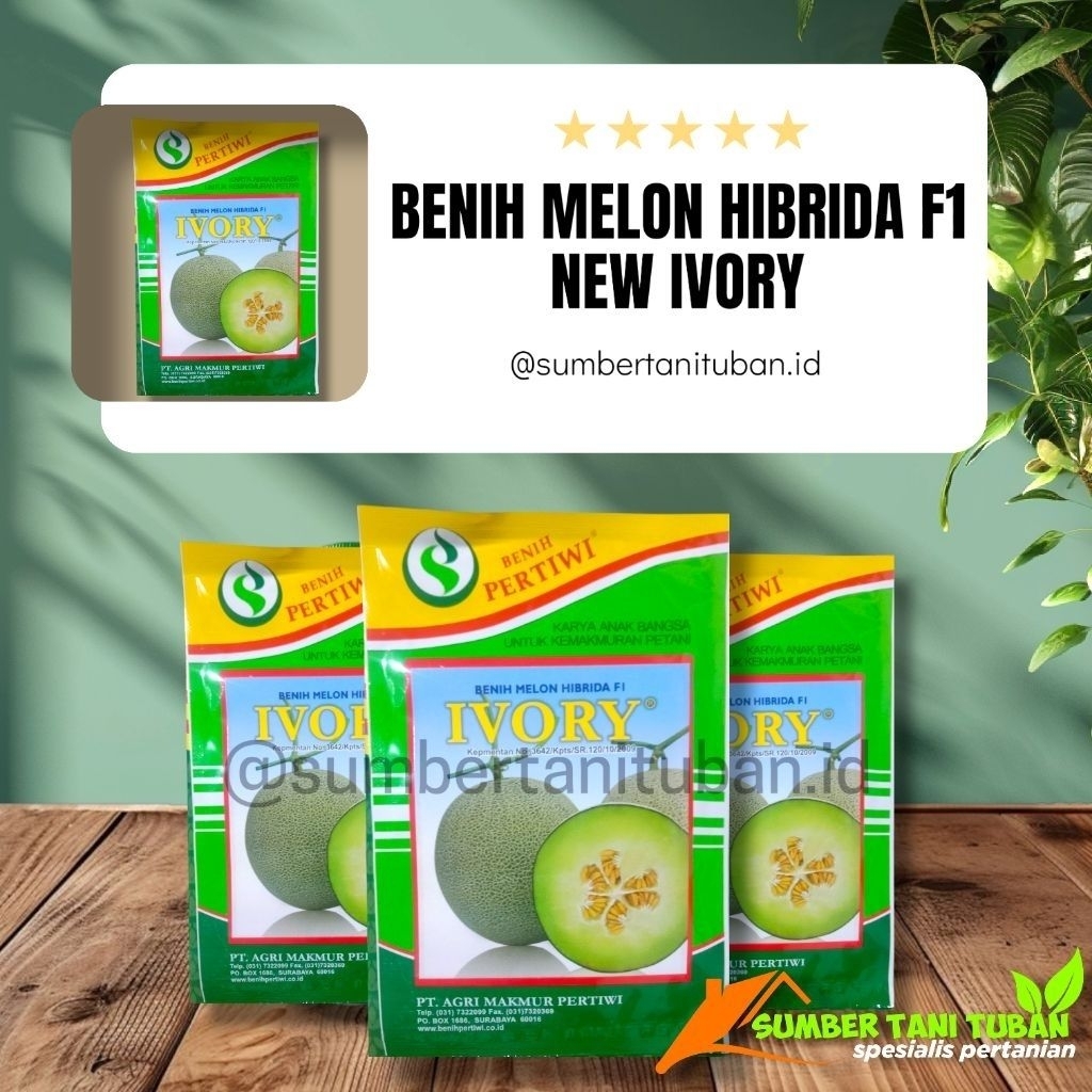 BENIH MELON HIBRIDA F1 NEW IVORY || BENIH PERTIWI ( KEMASAN 5 GRAM )