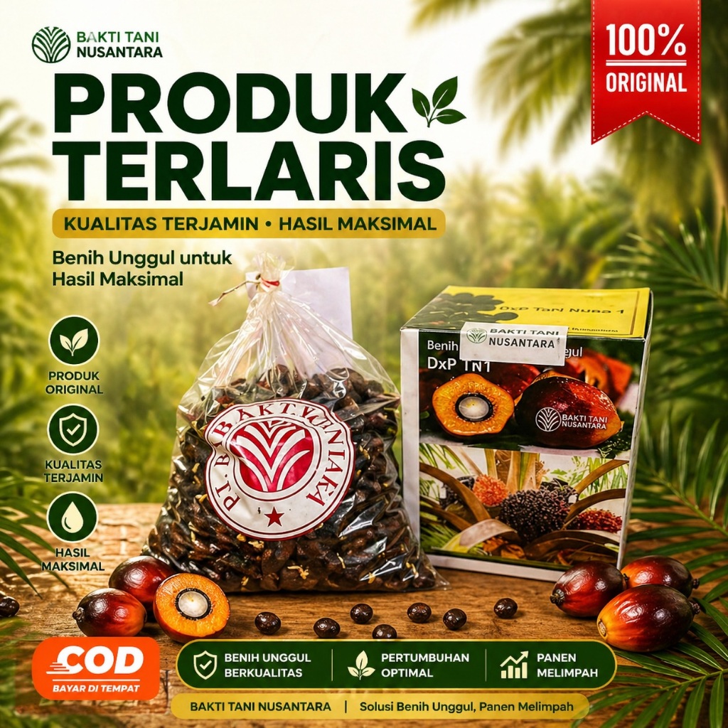 Bibit Kecambah Kelapa Sawit Varietas ( TN 1 )  Berkualitas Unggul dan Bersertifikat isi 250 Butir