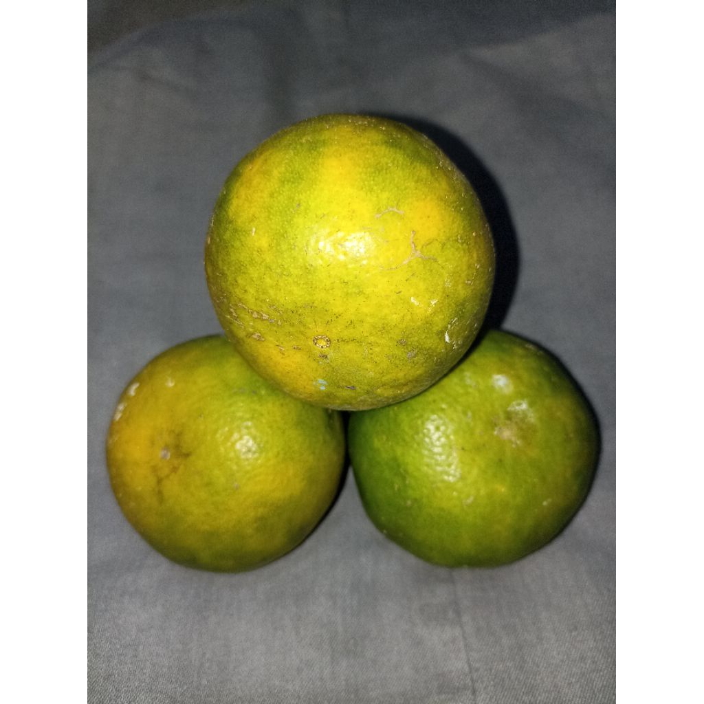 Jeruk peras siem madu Malang Kecil Manis 1kg - 12-15  Buah, Cocok untuk Camilan dan Jus