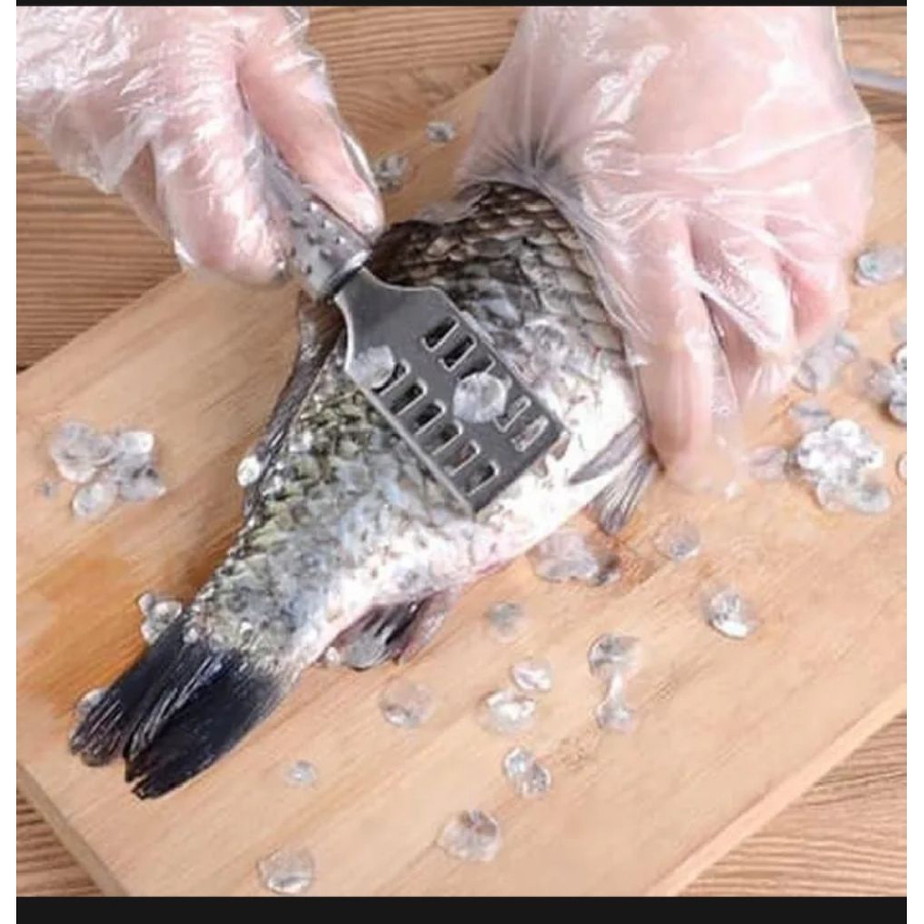 alat pembersih sisik ikan / pembersih sisik ikan