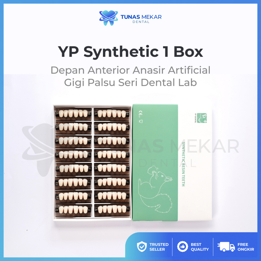 YP Synthetic 1 Box Depan Anterior Anasir Artificial Gigi Palsu Seri Dental Lab