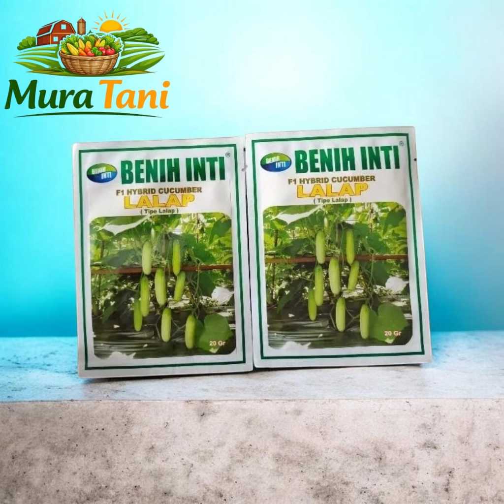 BENIH TIMUN F1 HYBRIDA LALAP 20GR - BENIH INTI