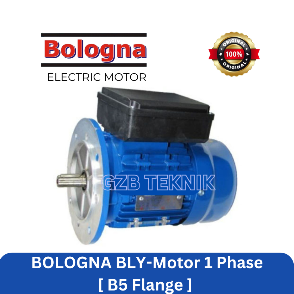 Bologna 1 HP 1 Phase Dinamo / Elektro Motor 4 Pole B5 Flange