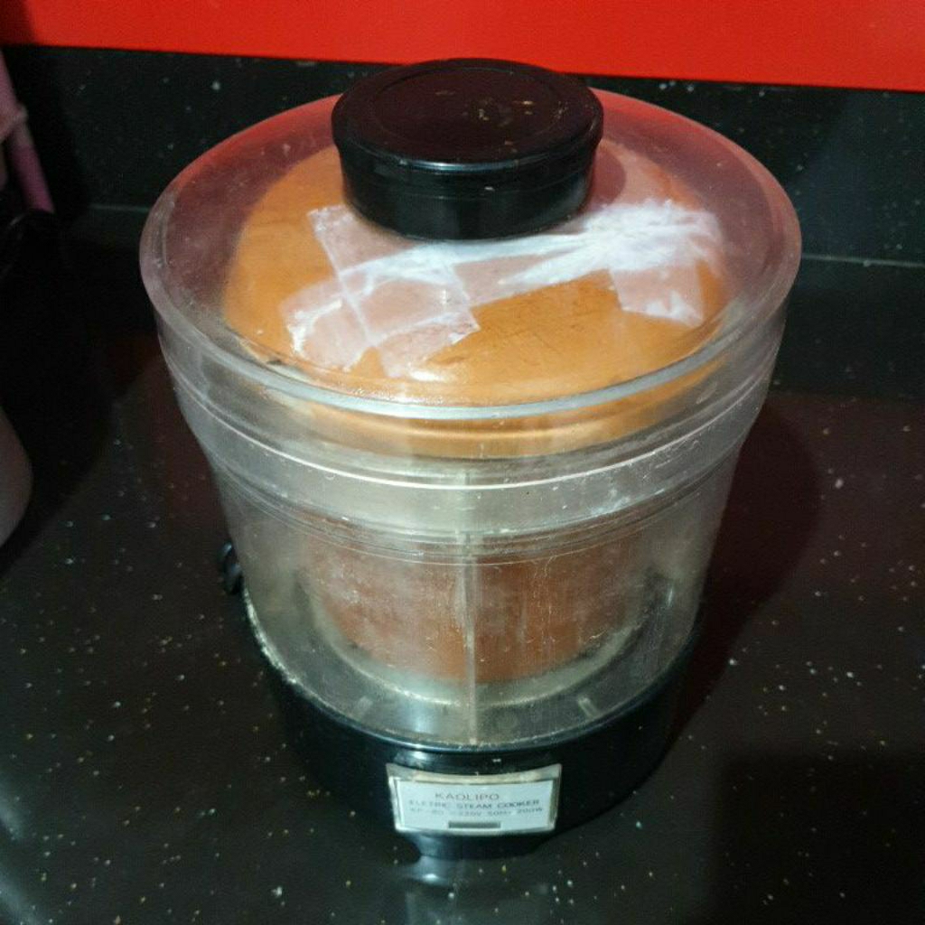 elektrik steam cooker-KAOLIPO