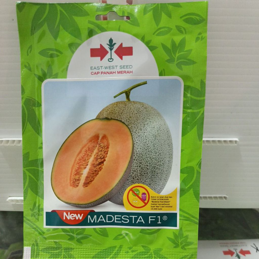 Benih/Bibit melon new madesta F1 40 butir