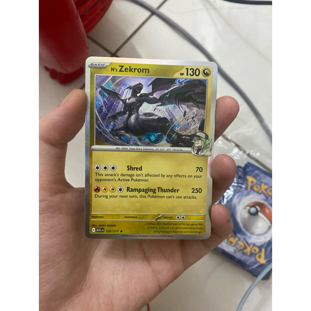 Pokemon Zekrom N’s pokemon