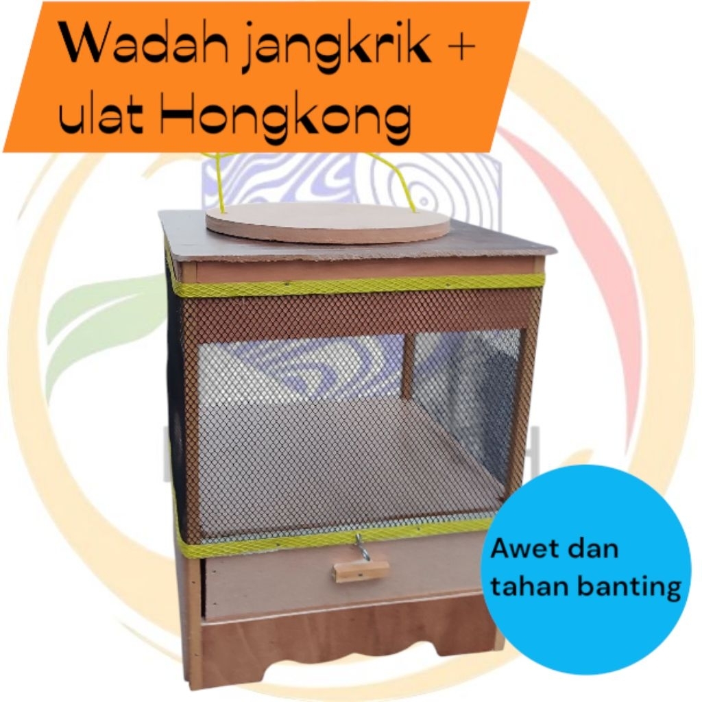 Kandang jangkrik dan ulat Hongkong ukuran jumbo