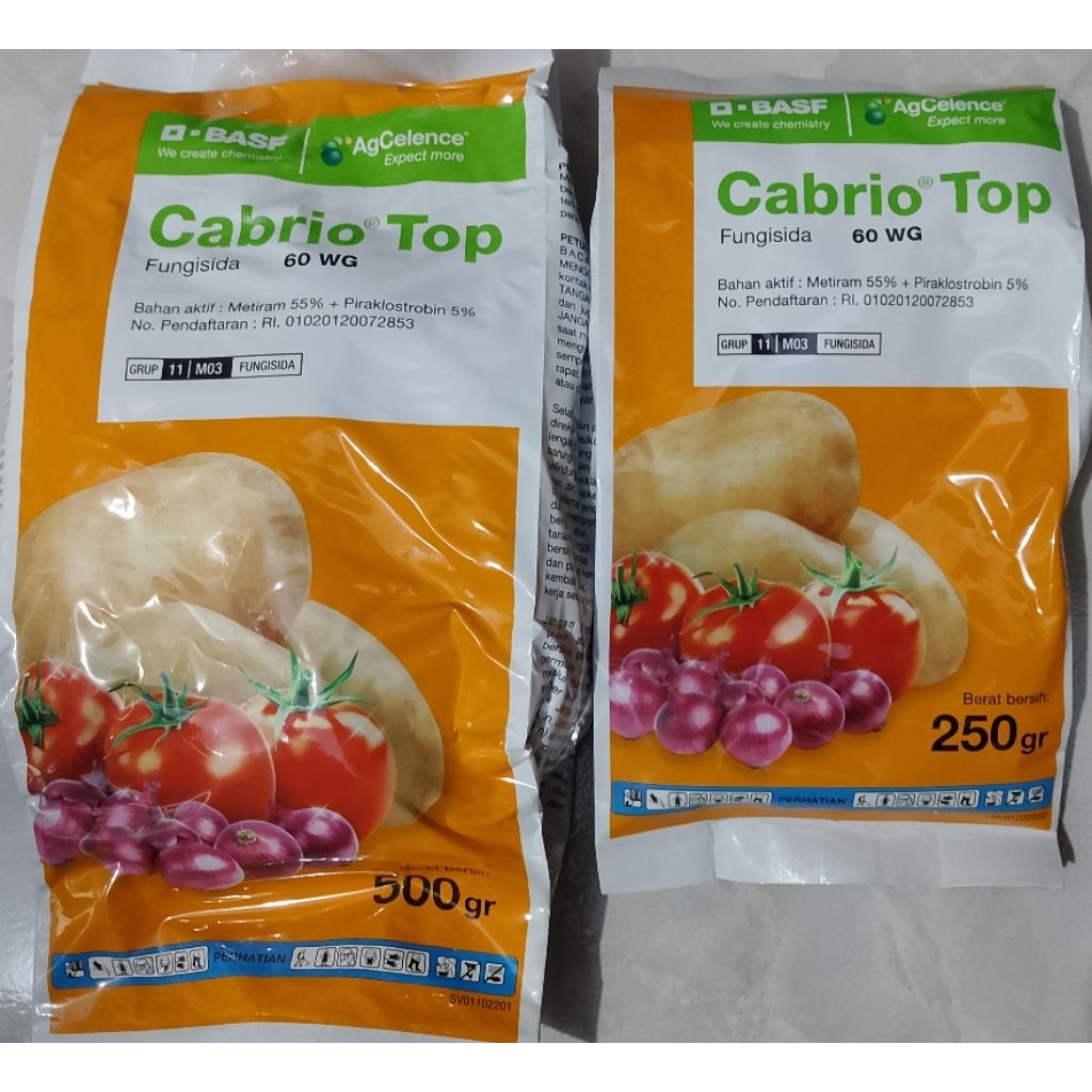 CABRIO TOP 60WG