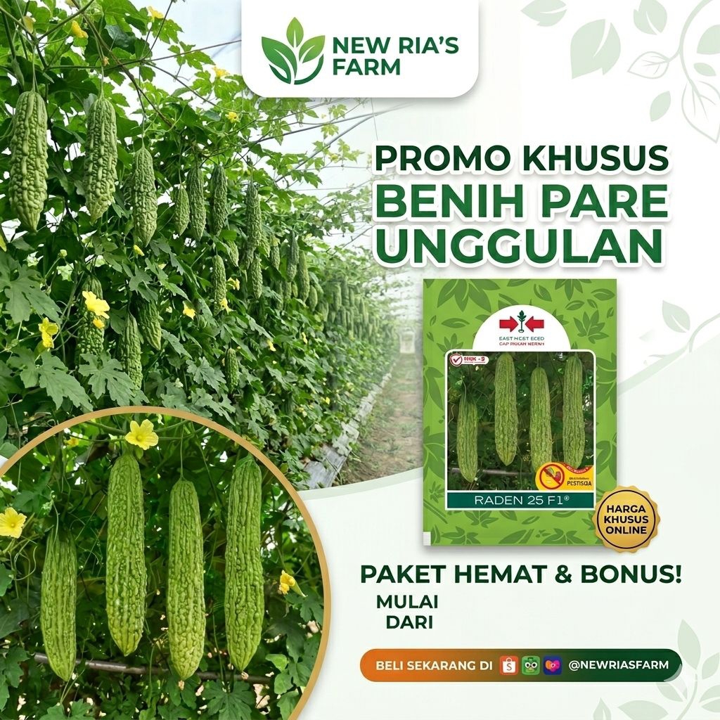 BENIH PARE RADEN 25 F1