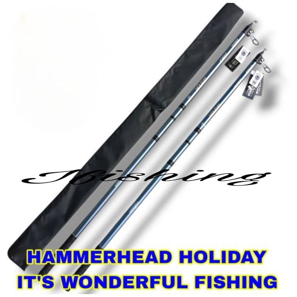 Joran Surf Hammerhead Holiday Cast 360,390,420,450cm Carbon Fuji ring