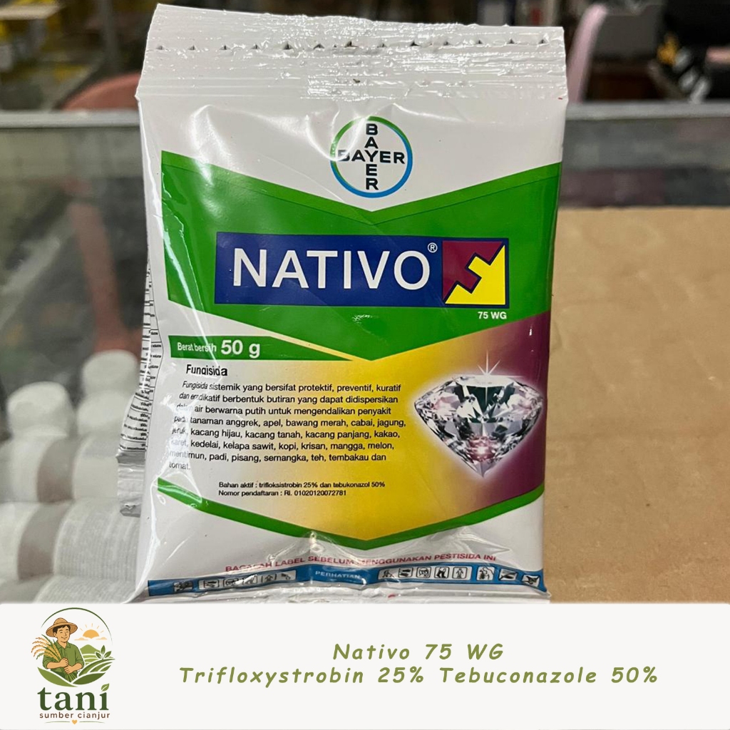 Nativo 75 WG Trifloxystrobin 25% Tebuconazole 50% - Nativo 75 WG