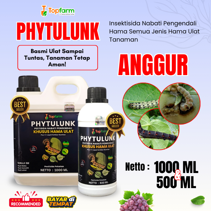 Pestisida Hama Ulat Anggur / Pembasmi Hama Anggur / Obat Ulat Topfarm / Obat Hama Ulat Anggur