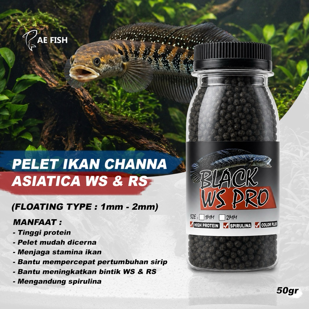 Pelet black ws pro pakan ikan Channa asiatica ws pelet Chana Asiatika ws rs