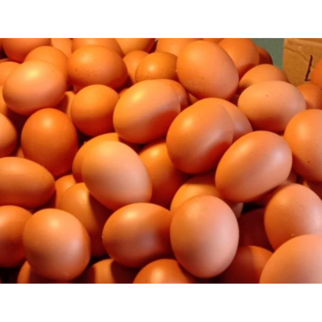 Telur ayam 1kg