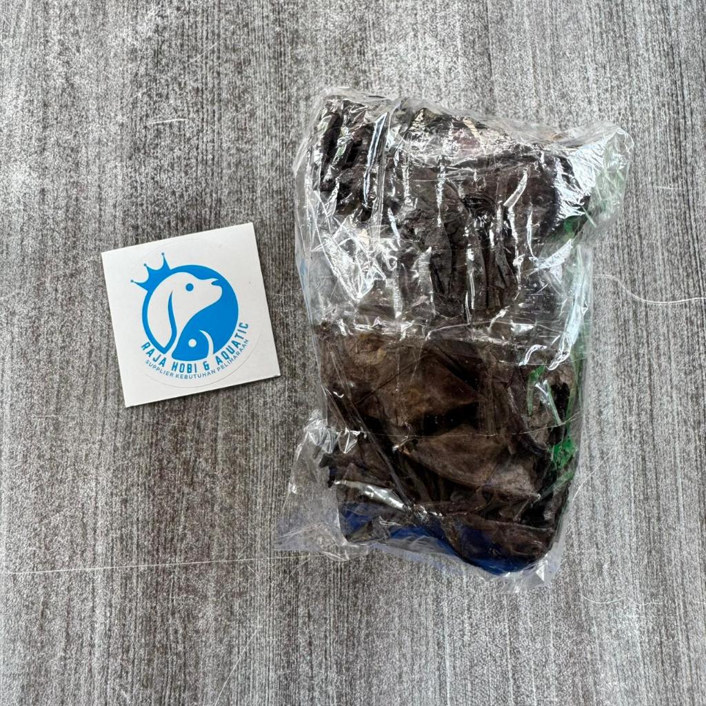 DAUN KETAPANG SPESIAL GRADE A KEMASAN 30GR 30 GRAM DAUN KETAPANG LAUT OLAHAN FERMENTASI SPESIAL SUPE