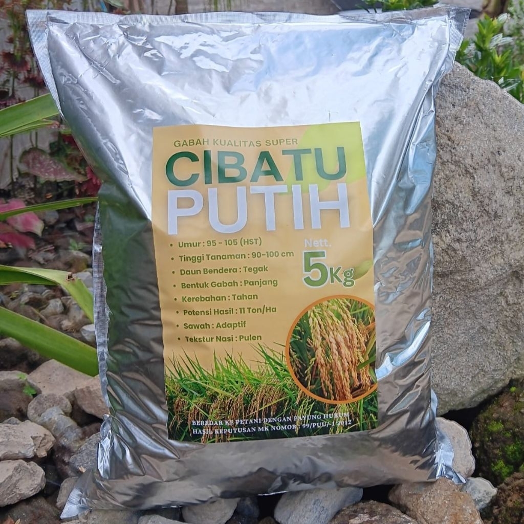 Benih Padi CIBATU PUTIH