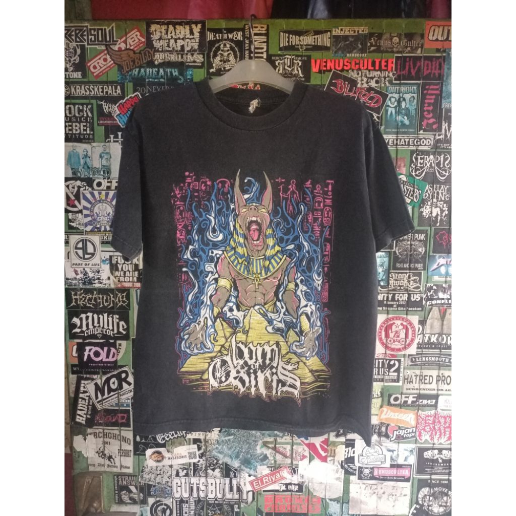 BORN OF OSIRIS