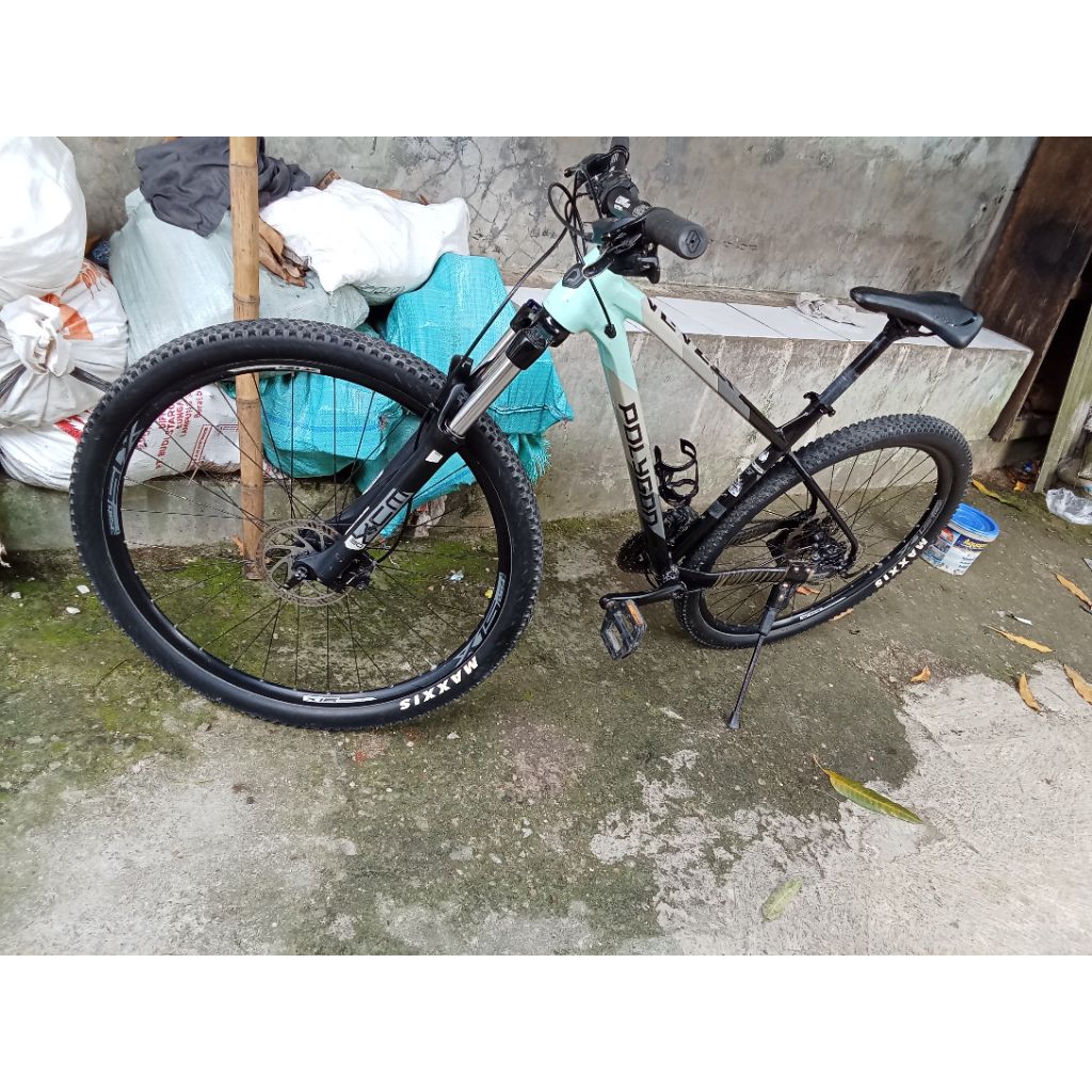 Polygon xtrada 5  size L 29in