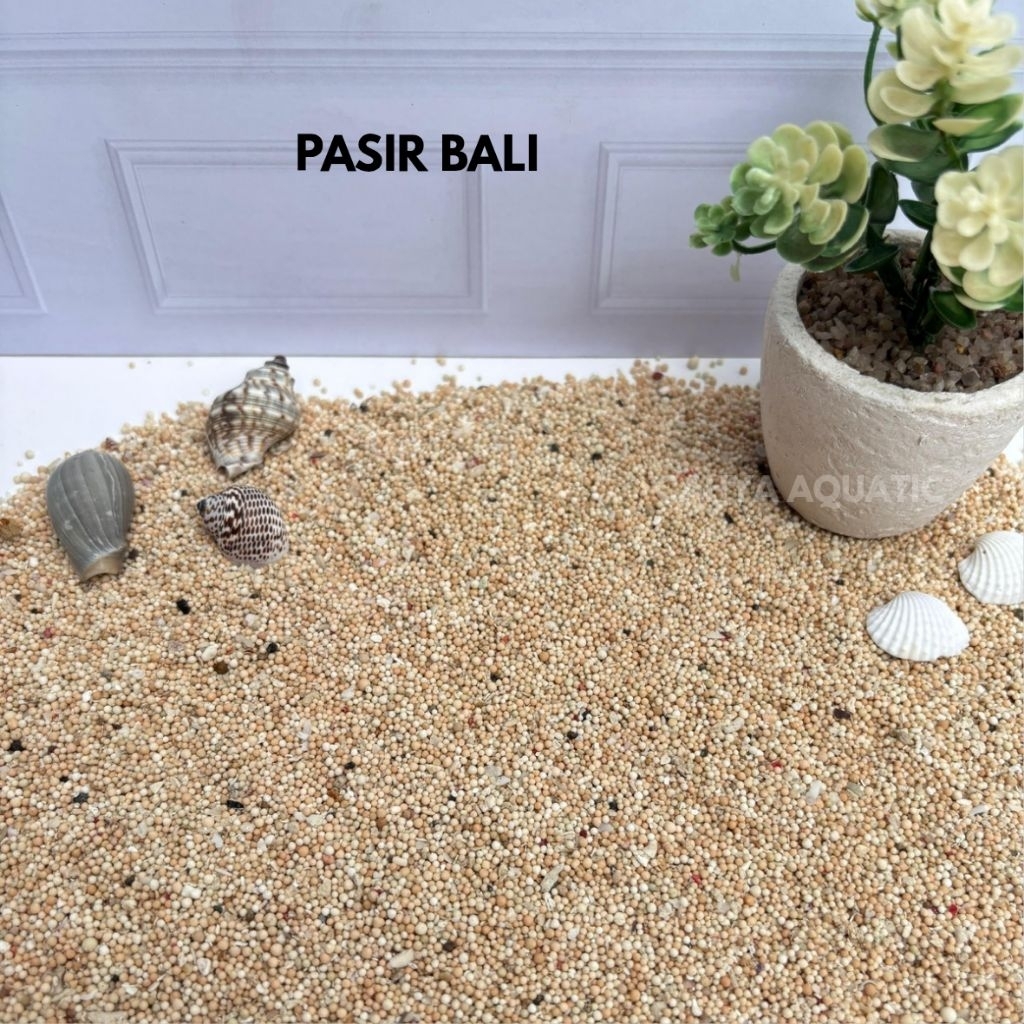 Pasir Bali (1kg)
