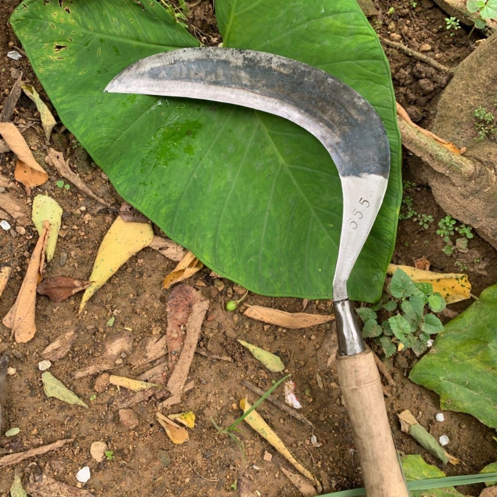 sabit rumput asli full baja isen khas Madura asli