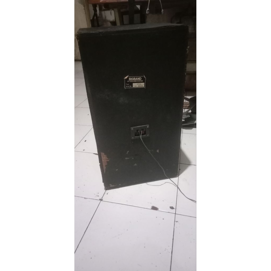 SECOND----SPEAKER Pasif Polytron10 inch BigBand SB1006, NORMAL