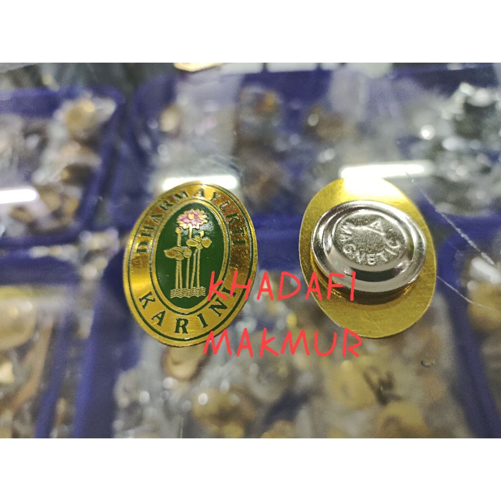 Pin Dharmayukti karini