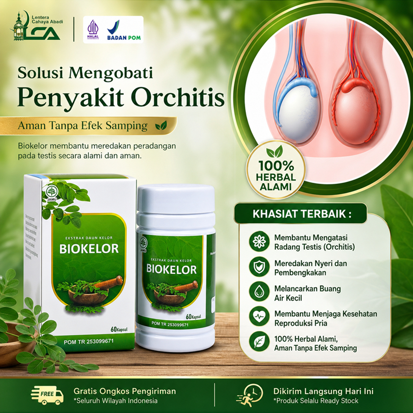 Obat Orchitis Paling Ampuh Orkitis Radang Testis Epididimitis Buah Zakar Bengkak Sebelah Benjolan Te