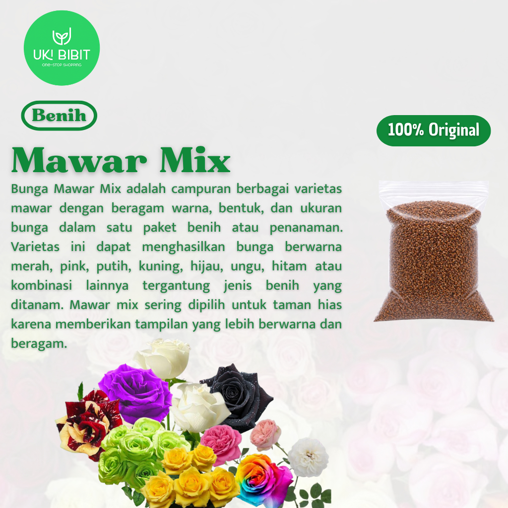 ( 5 Butir ) Benih Biji Bunga Mawar Mix | Mawar Kuning | Mawar Hitam