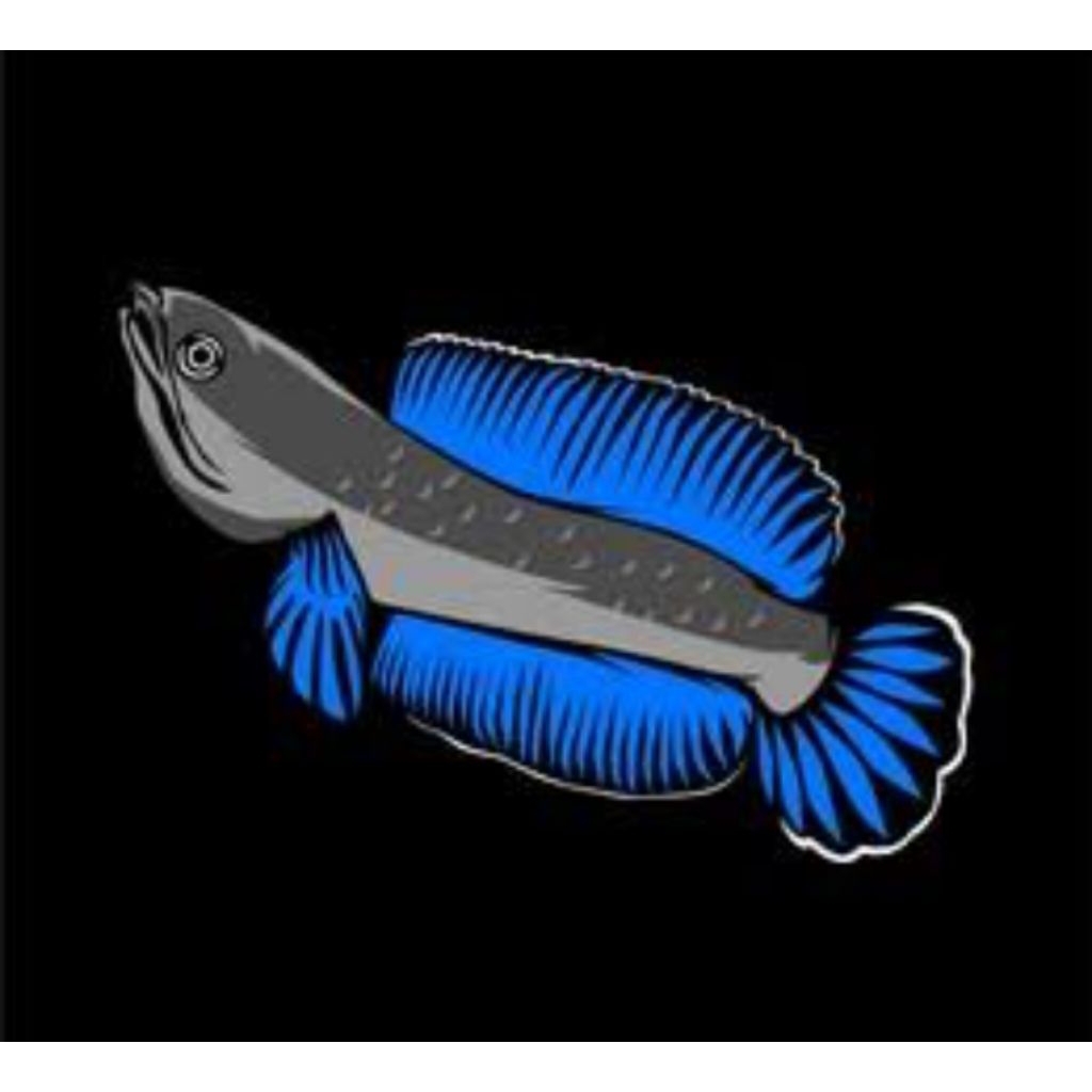 Stiker andrao 6cm