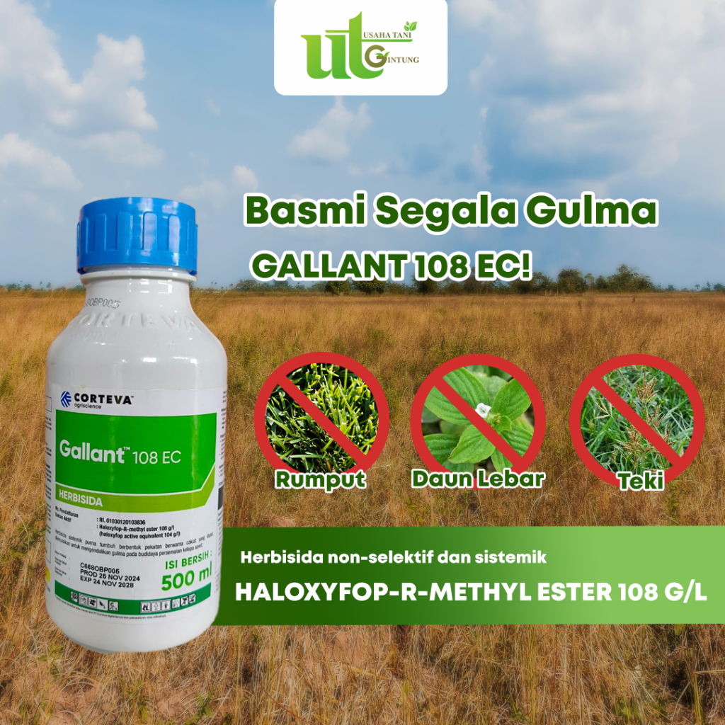 Herbisida GALLANT 108EC 500ml - Herbisida Spesialis Lulangan
