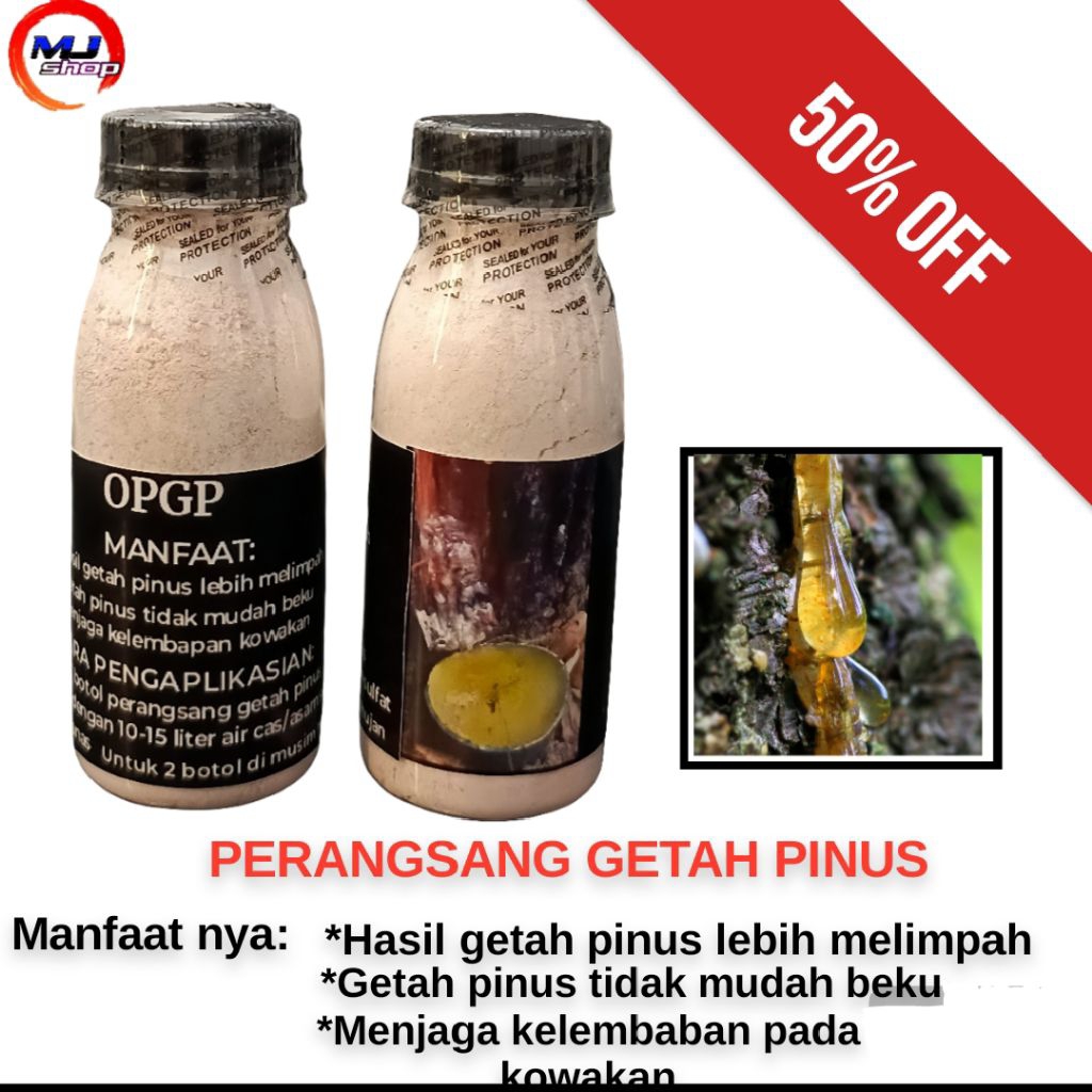 perangsang getah pinus