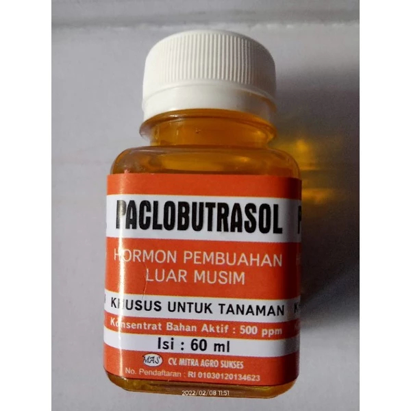 Paclobutrazol Murni – Hormon Pembungaan Luar Musim (Isi 60 ml)