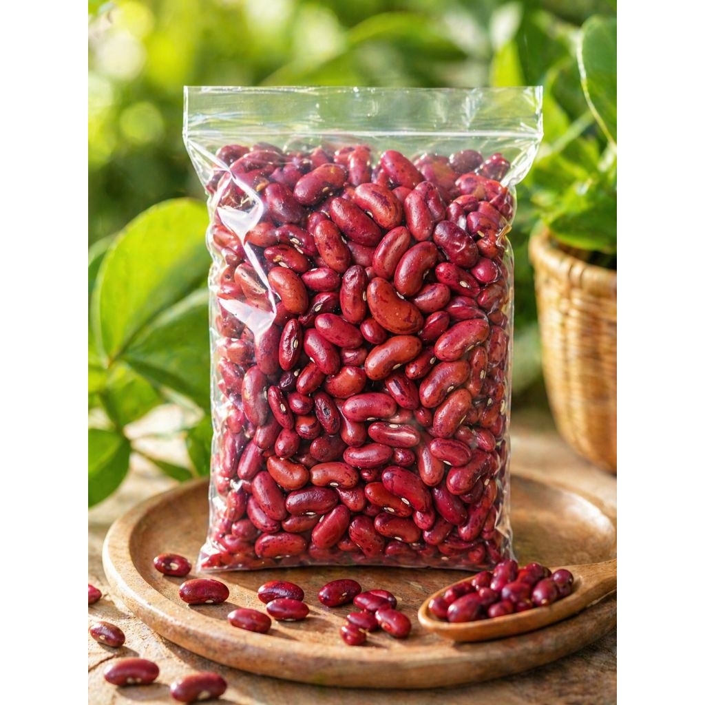 KACANG MERAH LOKAL