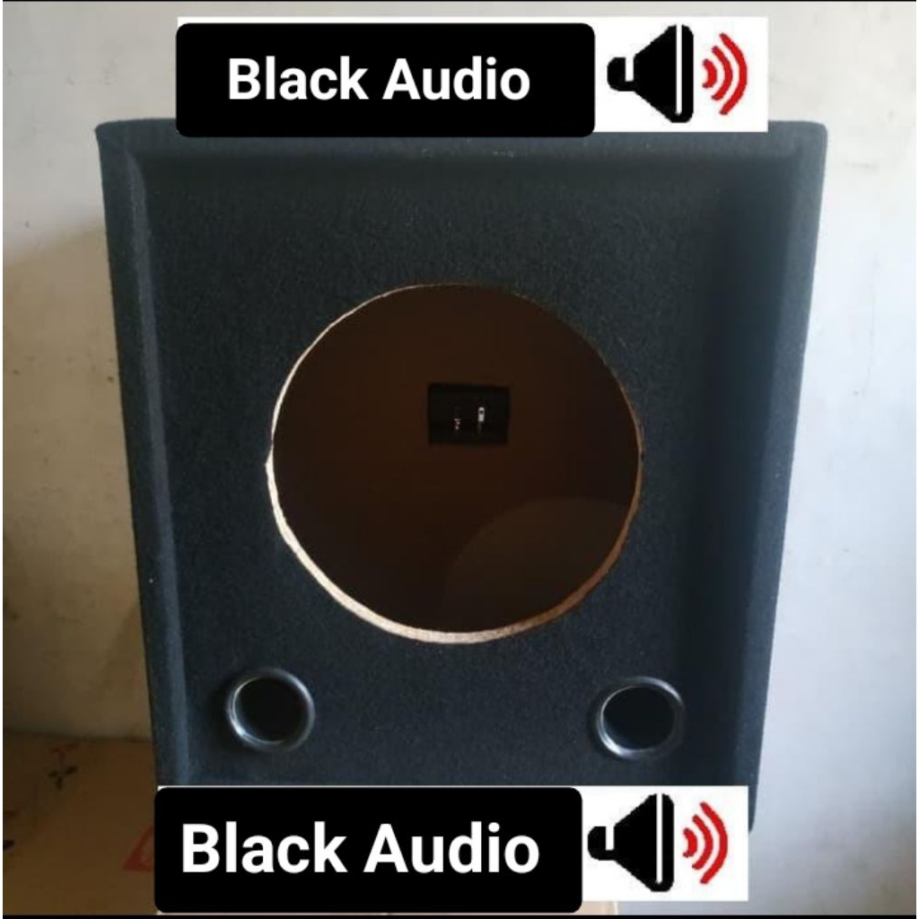 Box speaker subwoofer pasif 10inch