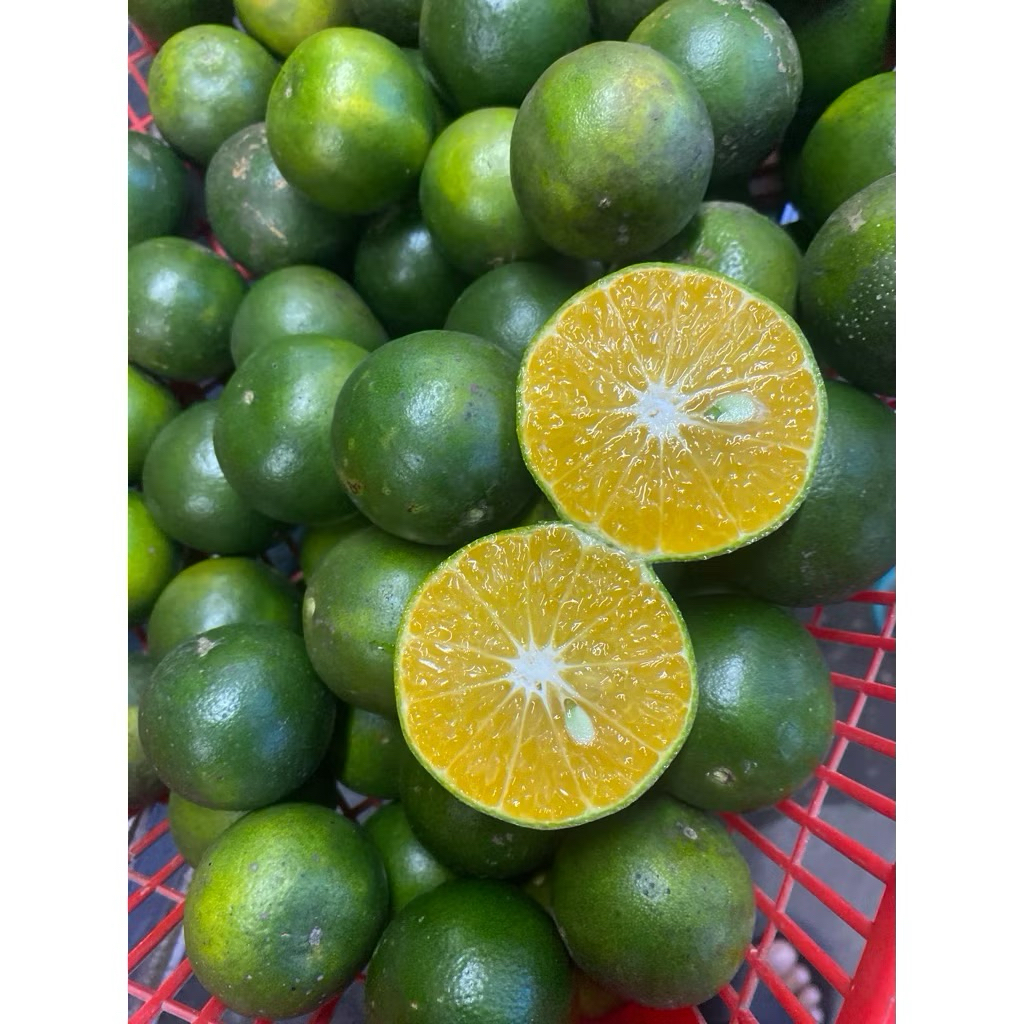 jeruk peras murah/ jeruk es segar/ jeruk peras 1kg