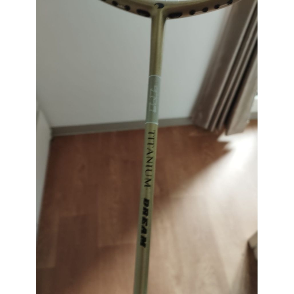 Raket Pro Ace Titanium Dream Senar BG66 Briliant