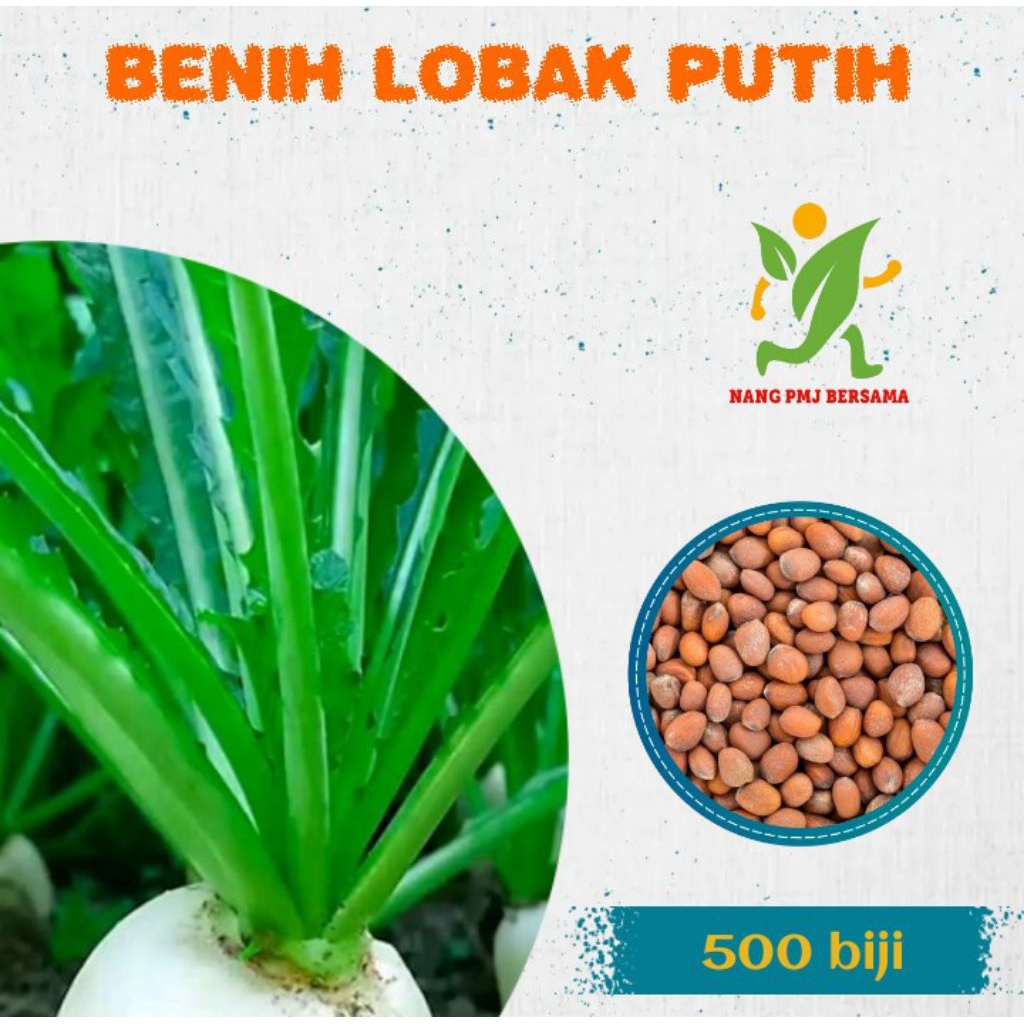 BENIH BIBIT LOBAK PUTIH UNGGUL 500 BIJI