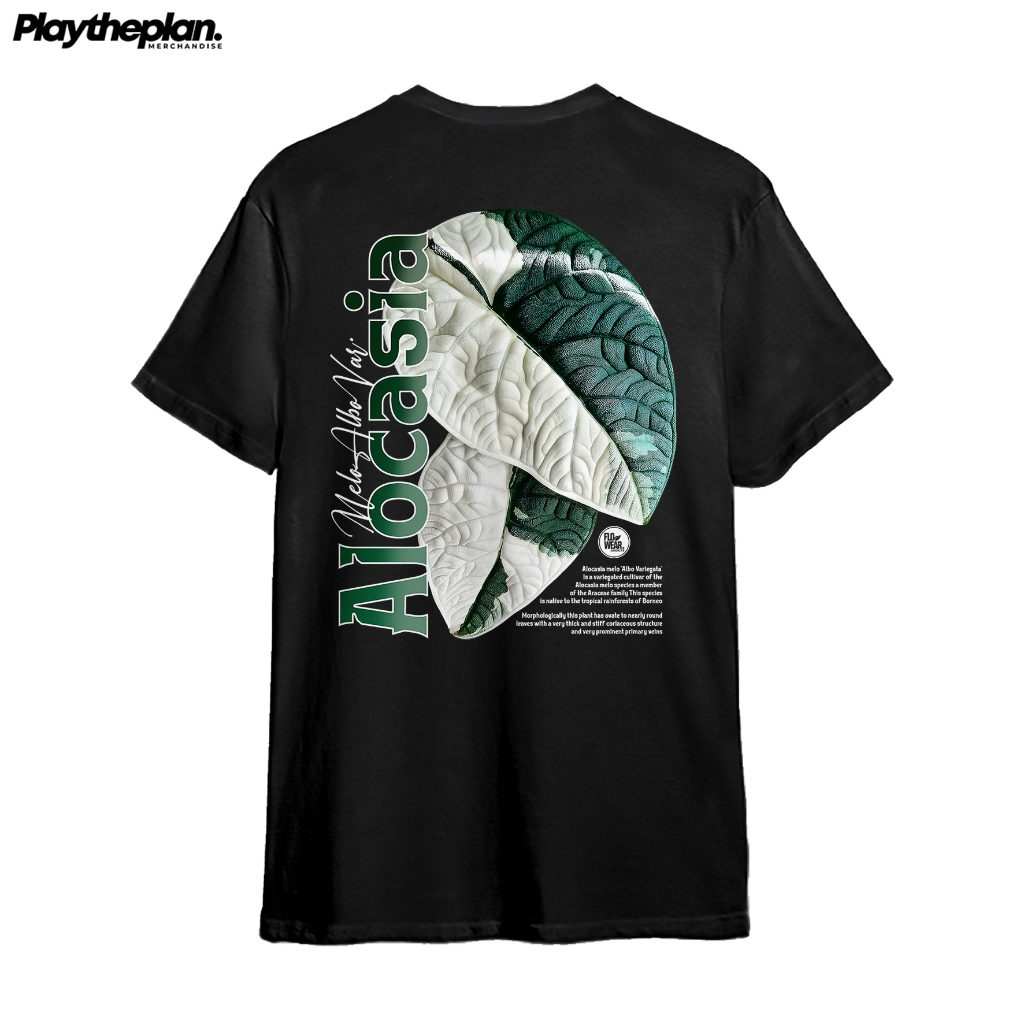 T-shirt / Kaos Tanaman Hias ALOCASIA MELO VAR - MELO ALBO VARIEGATA
