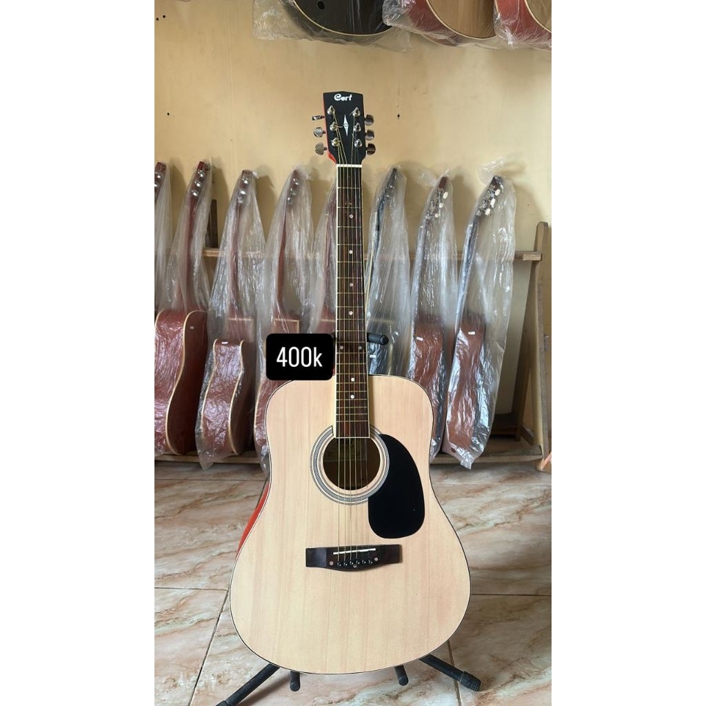 gitar model cort ad810 custom