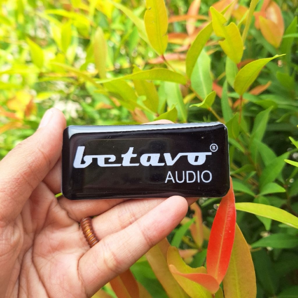 LOGO BETAVO AUDIO | LABEL BETAVO AUDIO | EMBLEM BETAVO AUDIO