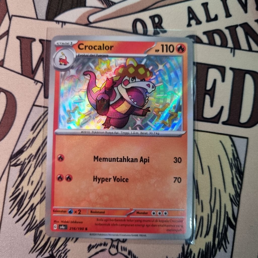 Crocalor Baby Shiny Harta Berkilau Pokemon TCG Indo