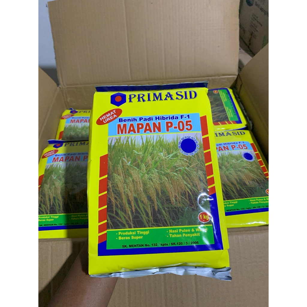 Primasid Mapan 05 Original