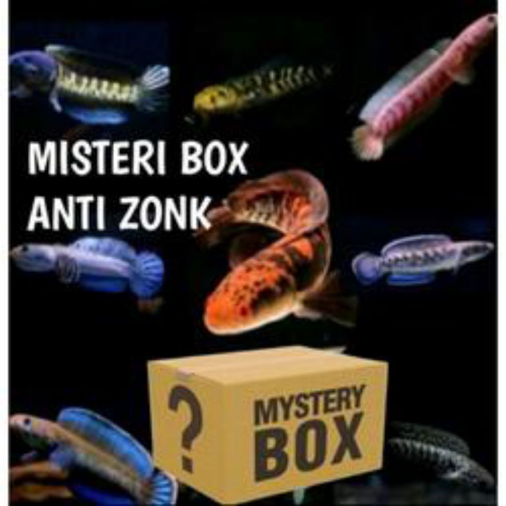 anti zonk mystery box Channa