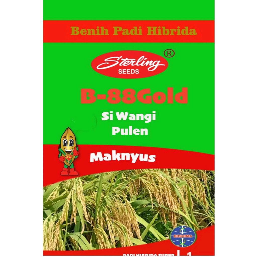 BENIH PADI HIBRIDA B88 Gold 1kg JAMINAN ASLI 100% EXP. AGUST 2026  SL 88 GOLD pulen wangi hasil joss