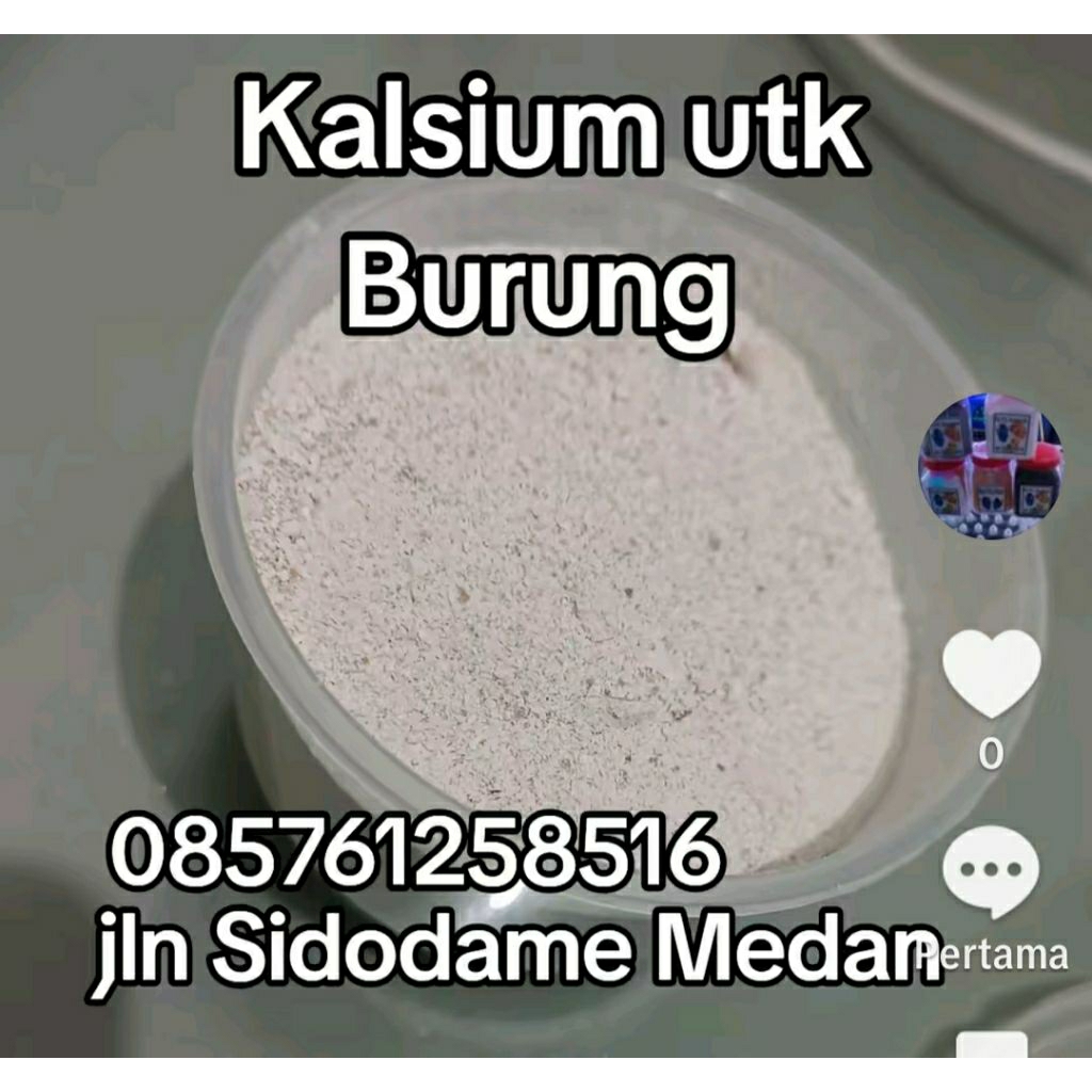 kalsium burung.