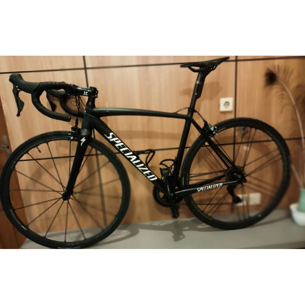 Sepeda Balap Roadbike Specialized Allez