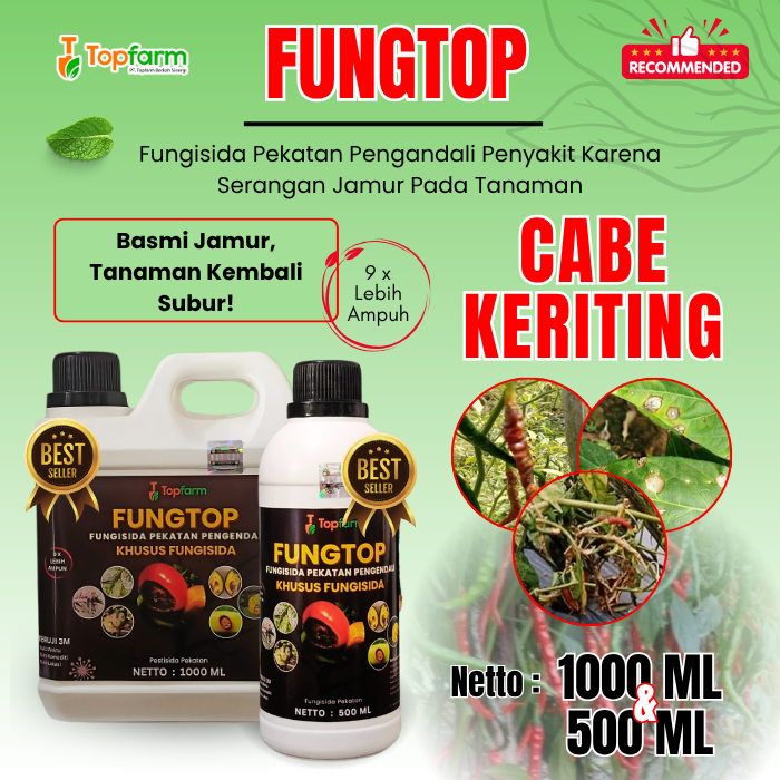 Fungisida Jamur Cabe Keriting / Fungisida Layu Cabe Keriting / Obat Jamur Topfarm / Obat Patek Buah 