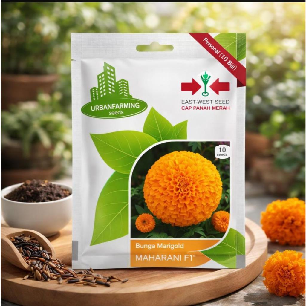 Benih Bibit Bunga Marigold Maharani Cap Panah Merah - MAHARANI F1 EAST WEST SEED