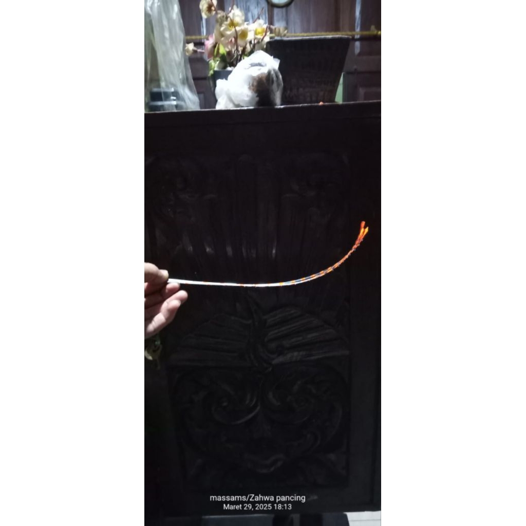 entul wwl ,entul Wadaslintang 30cm