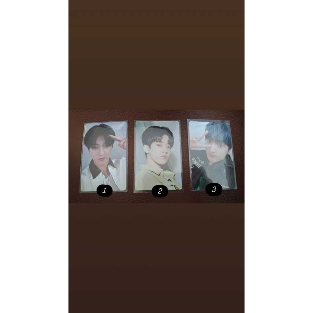 Official Photocard Treasure Haruto